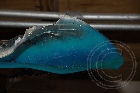 Fish Thing