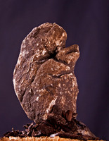 Rock Man
