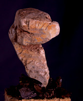Snake Face