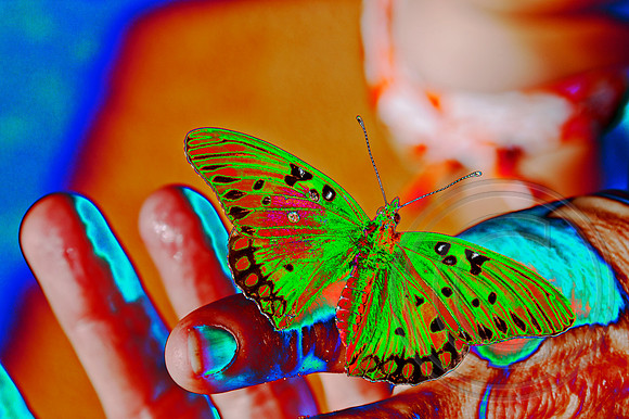 Solarization