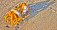 HDR Toning