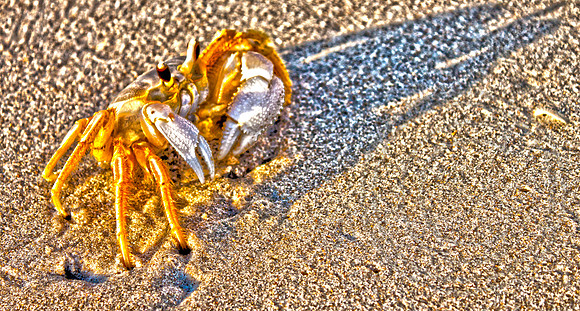 HDR Toning