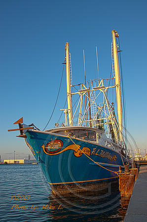 Tall Ship 2013