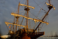 Tall Ship 2013